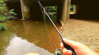 Ultralight Creek Fishing with TINY Crankbait [upl. by Guthrie810]