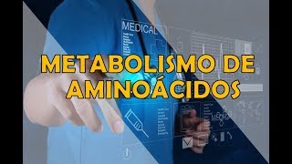 METABOLISMO DE AMINOÁCIDOS [upl. by Cairistiona517]