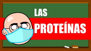 PROTEÍNAS Y AMINOÁCIDOS 💪💪💪 UN MES DE CLASES EN 5 MINUTOS [upl. by Terrej553]