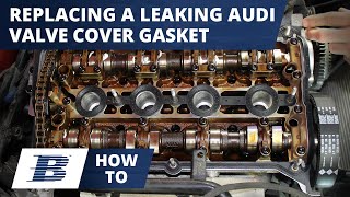 Basic Overview of How To Replace A Leaking Audi Valve Cover Gasket [upl. by Jacinto]