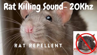 Anti Rat Repellent  Mouse Killer Sound  Very High Pitch Sound  20Khz  Kill Rats using mobile [upl. by Iris]