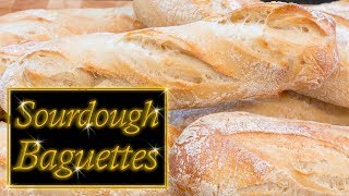 Sourdough Baguettes easy step by step [upl. by Baoj749]