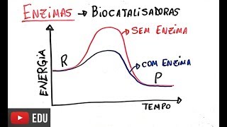 Proteínas  Enzimas [upl. by Silvanus350]