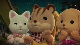 Clearing The Rumours 👀Calico Critters [upl. by Bander208]