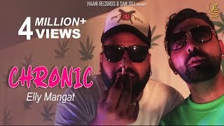 CHRONIC  Elly Mangat Feat Paul G  Veet Baljit   Haani Records  Punjabi Song 2020 [upl. by Illil]