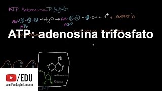 ATP adenosina trifosfato  Energia e enzimas  Biologia  Khan Academy [upl. by Assek]