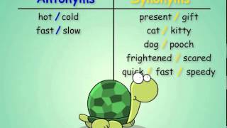 Antonyms and Synonyms [upl. by Sofia]