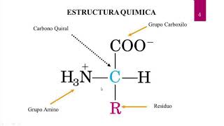 BIOQUÍMICA  AMINOÁCIDOS Y PÉPTIDOS  PROF DRA ADRIANA DA MAIA [upl. by Mahon249]