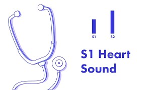 Cardiovascular  Electrophysiology  Extrinsic Cardiac Conduction System [upl. by Doughty915]