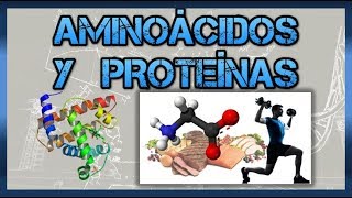 Biomoléculas Aminoácidos y proteínas [upl. by Hsital]