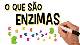 ✅ O QUE SÃO ENZIMAS [upl. by Aridan]