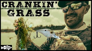 How to Fish Crankbaits for Bass in Grass Lakes [upl. by Leif227]