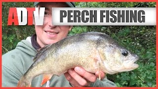 How To Catch Perch  Perch Fishing Tips [upl. by Ardnaxela]