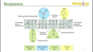 Bioquímica  Aminoácidos e Proteínas [upl. by Hteboj]