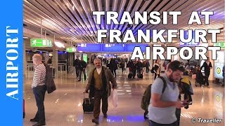 TRANSIT WALK AT FRANKFURT Airport FRA Terminal 1  Connection Flight Transfer Arriving amp Departing [upl. by Mccourt540]